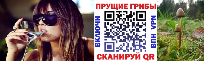 ОМГ ОМГ как зайти  Протвино  Псилоцибиновые грибы Magic Shrooms 